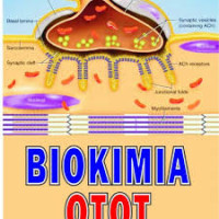 Image of Biokimia Otot